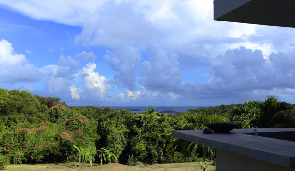 Vieques view of the Caribbean